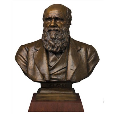 Best quality bronze charles darwin bust statue